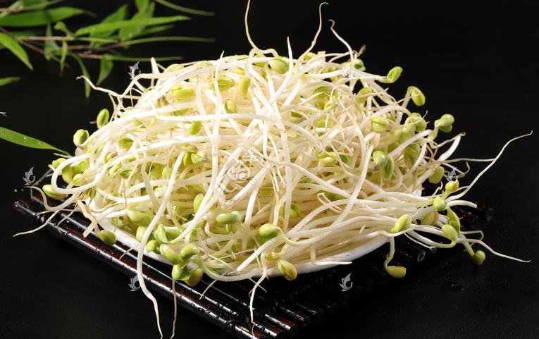 無公害綠色豆芽，怎么生產(chǎn)出來的？全套生產(chǎn)過程如此方便智能